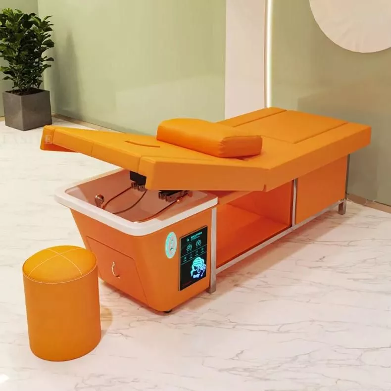 Multi-Function Spa Treatment Bed: Water Circulation, Fumigation & Storage