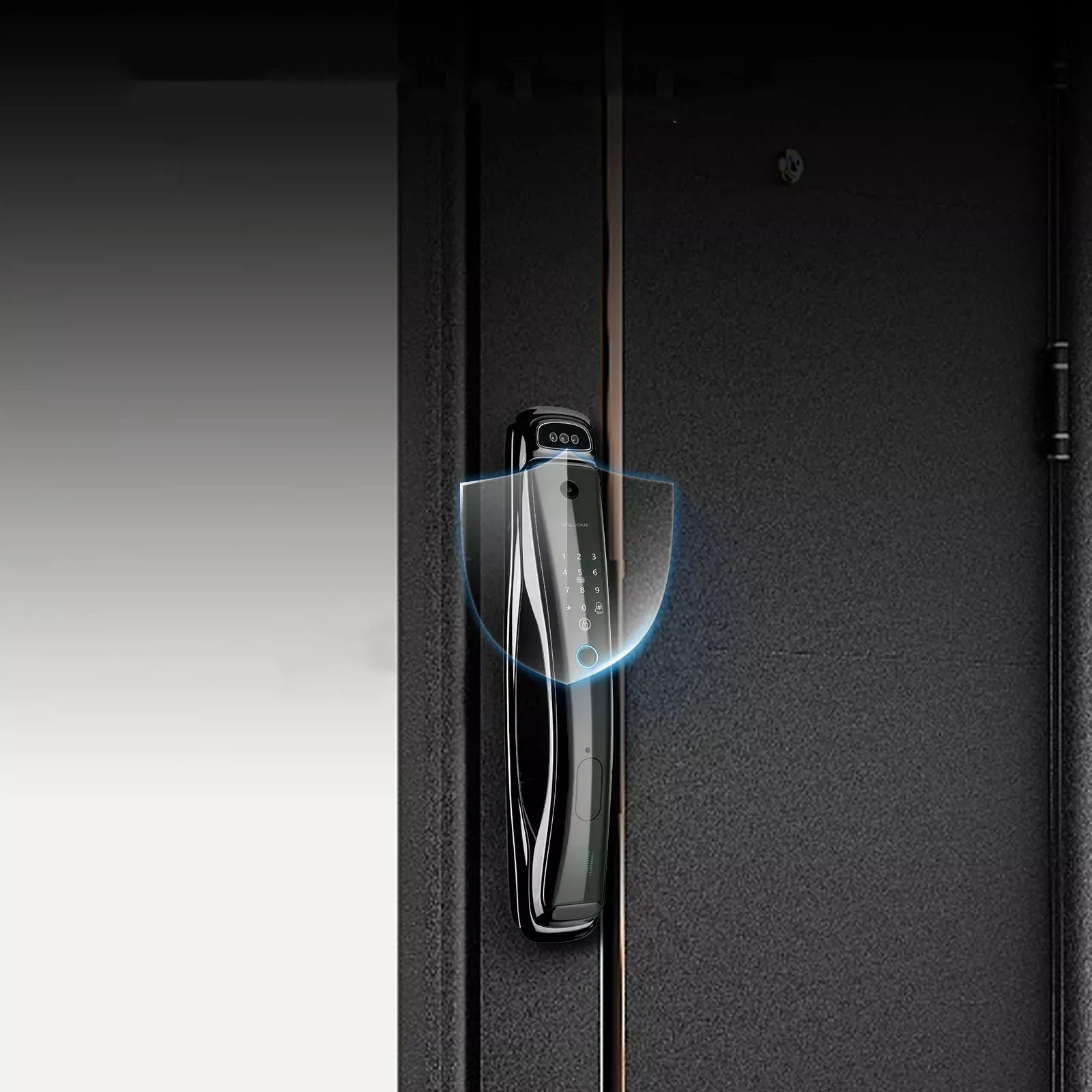 WiFi Smart Security Door Lock with 3D Face Recognition