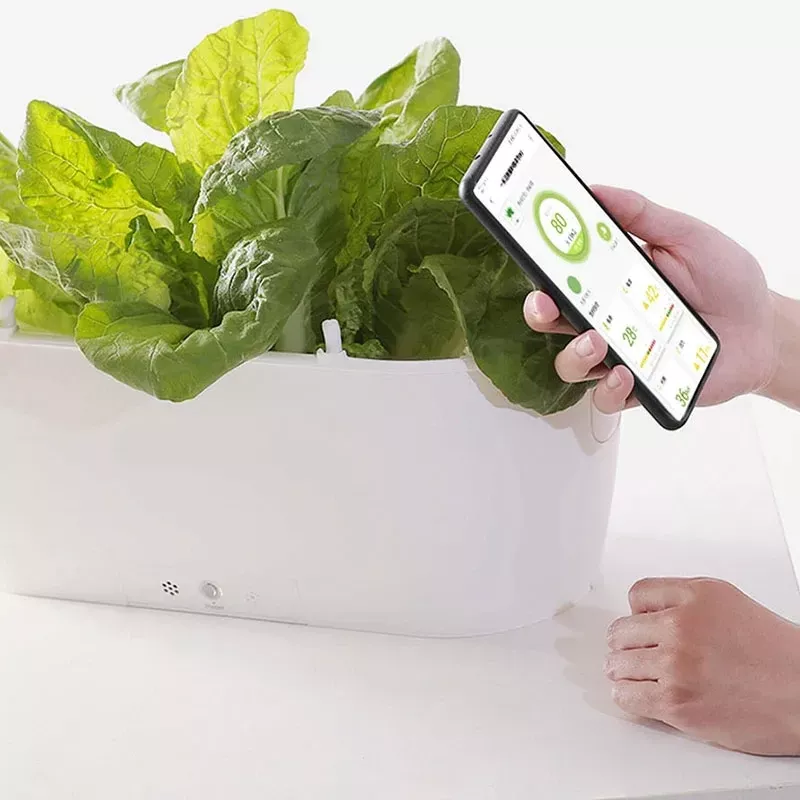 Smart Planter with Real-time Temperature and Soil Moisture Monitoring