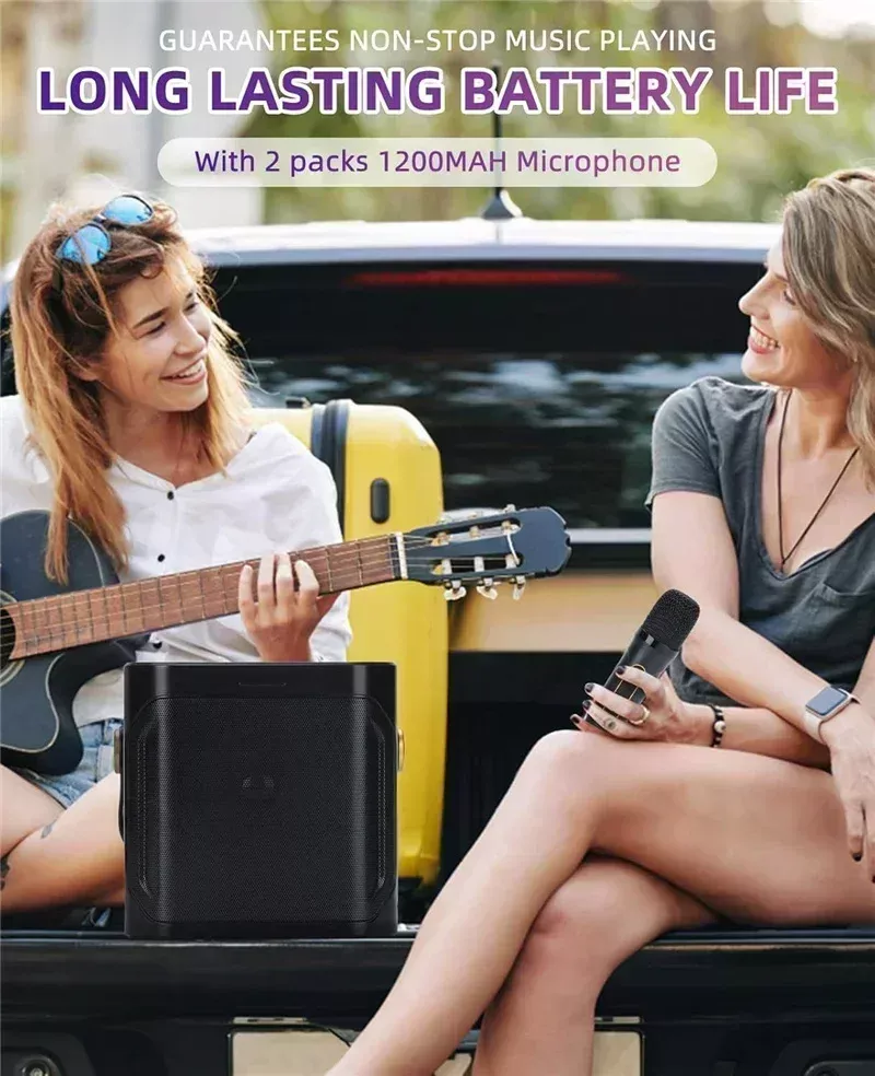 High Power Portable Bluetooth Karaoke Speaker with 2 Wireless Microphones