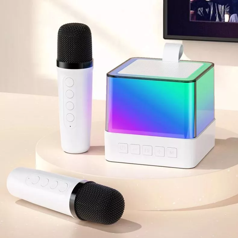 Portable Karaoke Machine with Subwoofer, Bluetooth Speaker & Wireless Mics